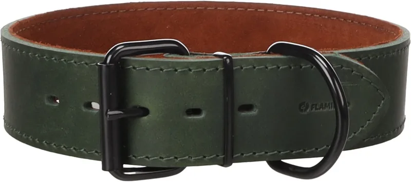 Hond Halsband Montana Groen XXXL 58-68cm 50mm by Flamingo – product photo