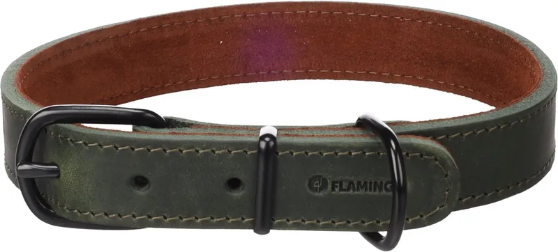 Hond Halsband Montana L 43,5-53,5cm 25mm de Flamingo en Vert – photo produit