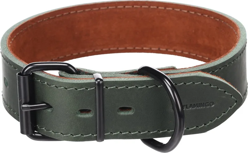 Hond Halsband Montana L 45-55cm 40mm de Flamingo en Vert – photo produit