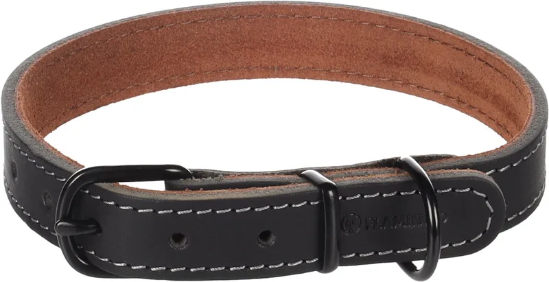 Hond Halsband Montana Zwart M 37-45cm 20mm de Flamingo – photo produit