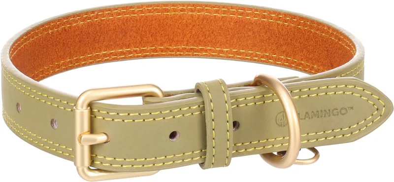 Hond Halsband Virginia Groen M / L 38-48cm 25mm von Flamingo – Produktfoto