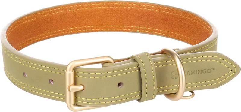 Hond Halsband Virginia L 43-53cm 25mm de Flamingo en Vert – photo produit