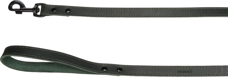 Hond Looplijn Montana 1,3m 20mm by Flamingo in Green – product photo