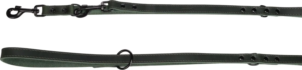Hond Trainingslijn Montana Groen 2m 20mm fra Flamingo – produktbillede