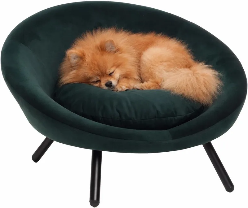Hondenbed – Sofa hond – Sofa kat – Flamingo Dolco Rond Groen – 54 x 50 x 40 cm – metalen pootjes – uitneembaar kussen by Flamingo in Dark green – product photo