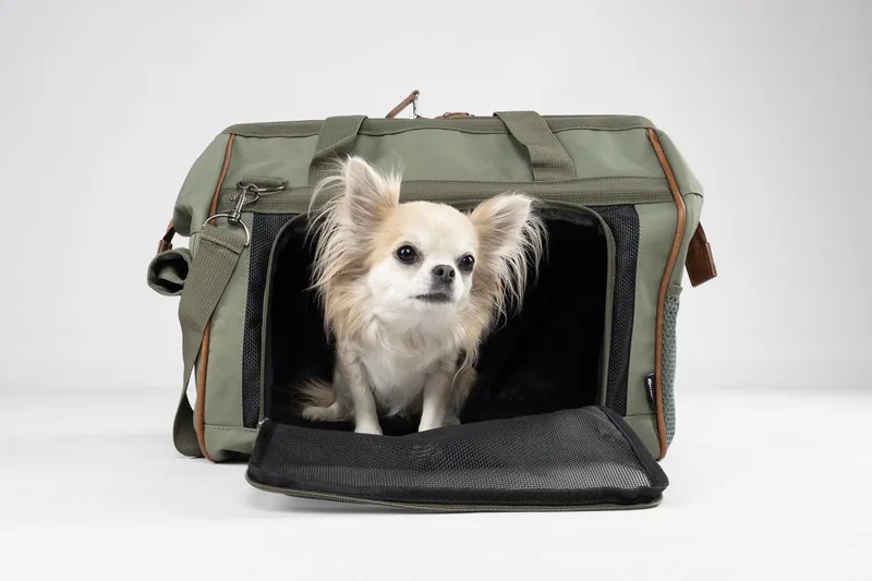 hondendraagtas Hannah – Comfortabele draagtas hond met ventilatiegaas, opbergvakken & karabijnhaak – 47x26,5x34 cm by Flamingo in Green – product photo
