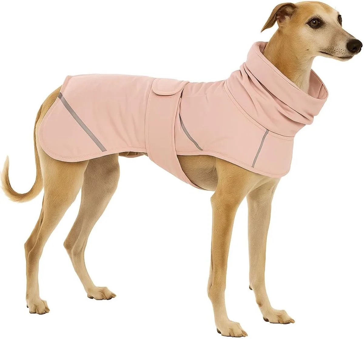 Hondenjas – Flamingo Cujo – honden jas – hondenjasjes winter – hondenjas waterdicht – 50 cm – A:50cm B:58cm C:58-67cm von Flamingo in Rosa – Produktfoto