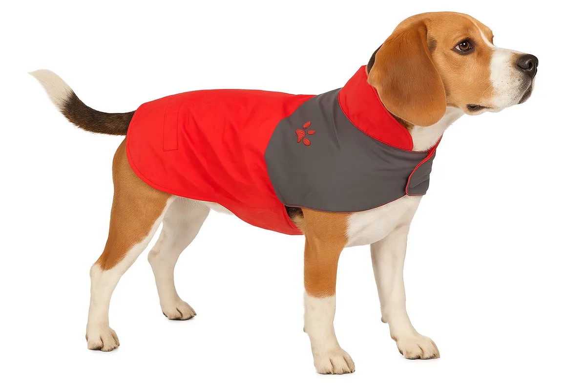 Hondenjas – Regenjas hond – Water- en winddichte hondenregenjas met fleece – Flamingo Regenjas Juno – 55 cm von Flamingo in Rot – Produktfoto