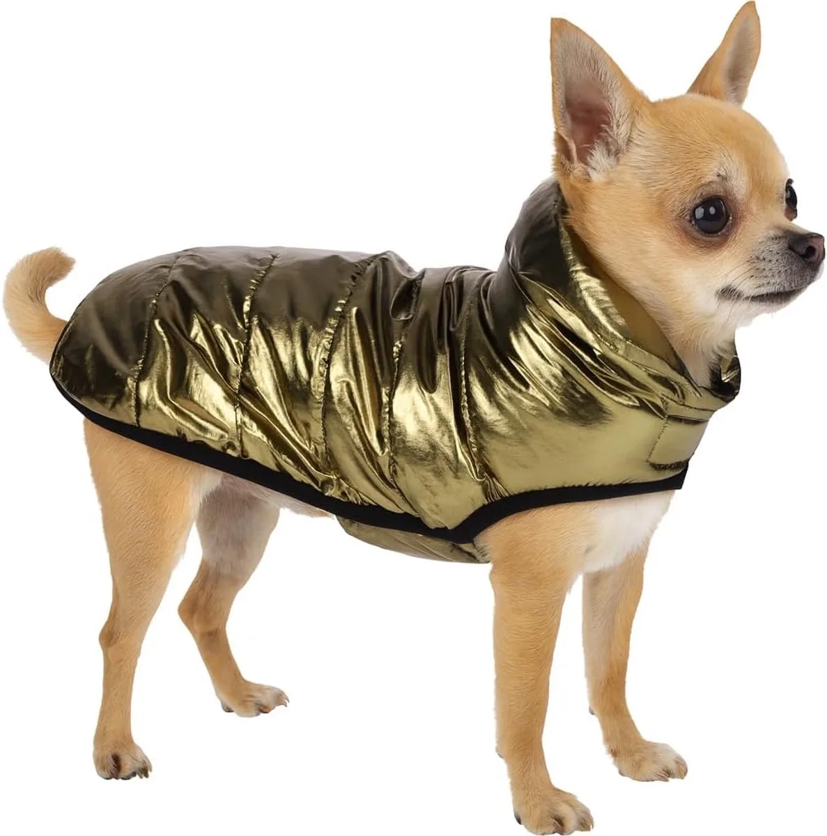 Wasa Gold Hundjacka från Flamingo i Guld – produktbild