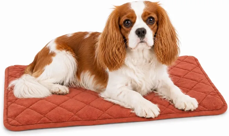 Hondenkussen - orthopedisch hondenkussen - benchkussen memory foam - Weimar XS - hoogste kwaliteit ligcomfort - antislip - 55,5cm by Flamingo in Cognac – product photo