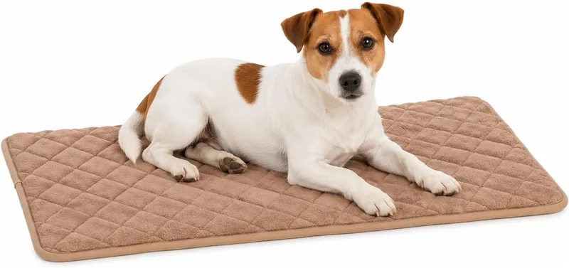 Hondenkussen - orthopedisch hondenkussen - benchkussen memory foam - Weimar S - premium comfort voor hondenbench - antislip - 70,5cm von Flamingo in Beige – Produktfoto