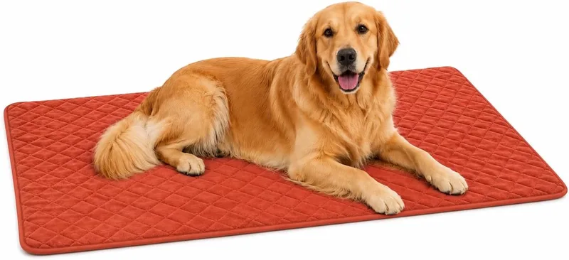 Hondenkussen - orthopedisch hondenkussen - benchkussen memory foam - Weimar XL - extra groot comfortabel hondenkussen - 116cm de Flamingo en Cognac – photo produit