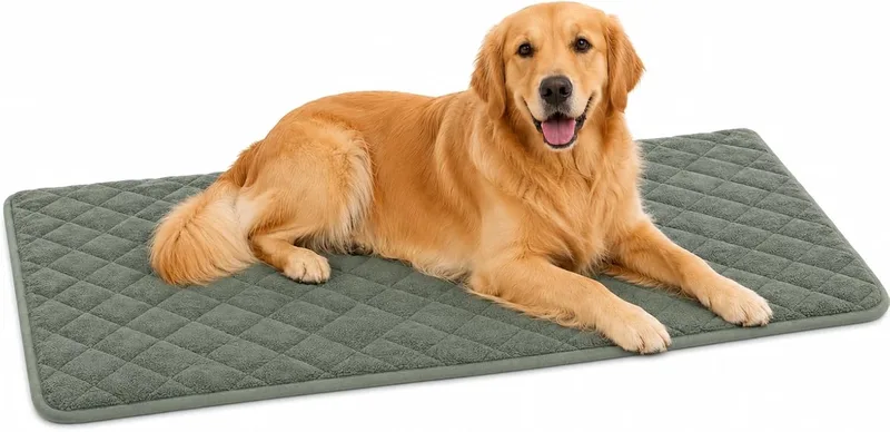 Hondenkussen - orthopedisch hondenkussen - benchkussen memory foam - Weimar XL - extra groot comfortabel hondenkussen - 116cm by Flamingo in Green – product photo
