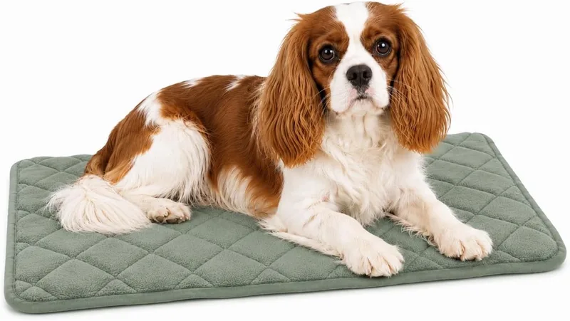 Hondenkussen - orthopedisch hondenkussen - benchkussen memory foam - Weimar XS - hoogste kwaliteit ligcomfort - antislip - 55,5cm de Flamingo en Vert – photo produit
