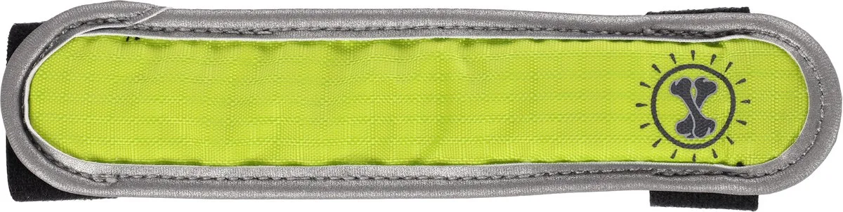 Hondenlijn Veiligheidsband LED - 16 cm von Flamingo in Gelb – Produktfoto