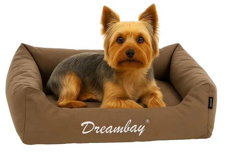Hondenmand – orthopedisch hondenkussen Dreambay® 65x45cm – waterafstotend & afneembare hoes – duurzaam comfort met stijlvol design by Flamingo in Taupe – product photo