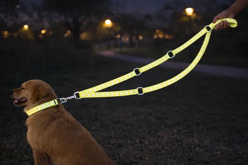 Hondenriem – trainingslijn Fergu geel 200 cm – 25 mm breed – verstelbaar – handenvrij – nylon – reflecterend de Flamingo en Fluo – photo produit