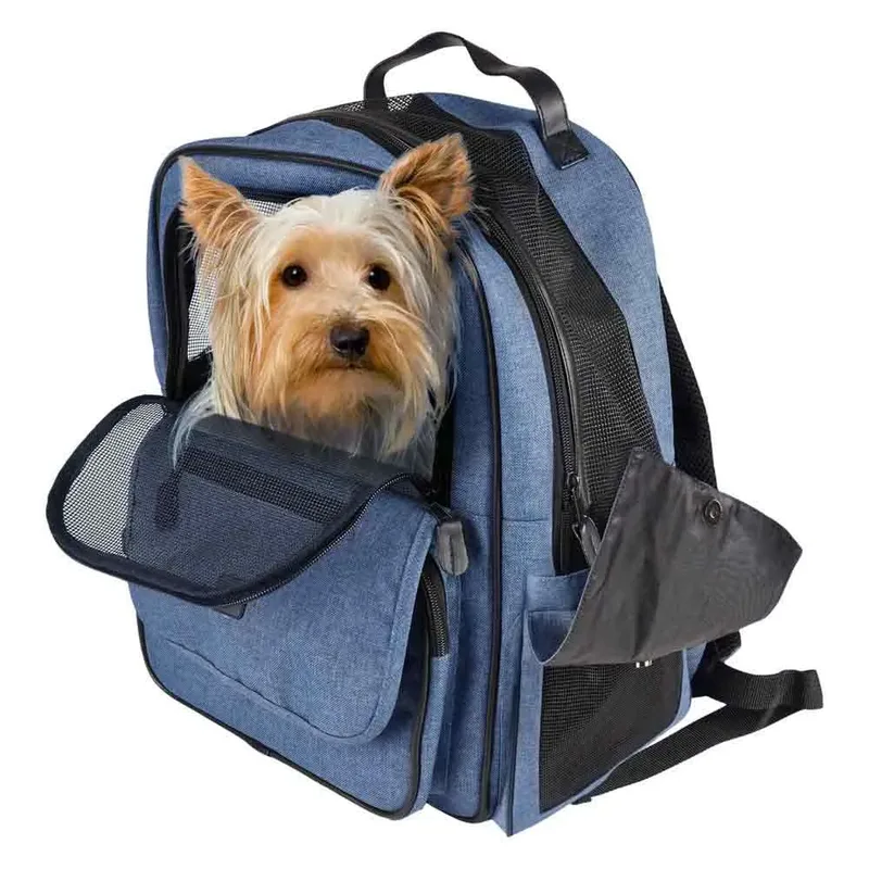 Hondenrugzak – draagtas hond – draagtas kat – Flamingo Wiro – 40x25x41cm – waterdichte bodem – trolleybevestiging – verstelbare riemen – kleine rassen by Flamingo in Blue – product photo 4 of 6