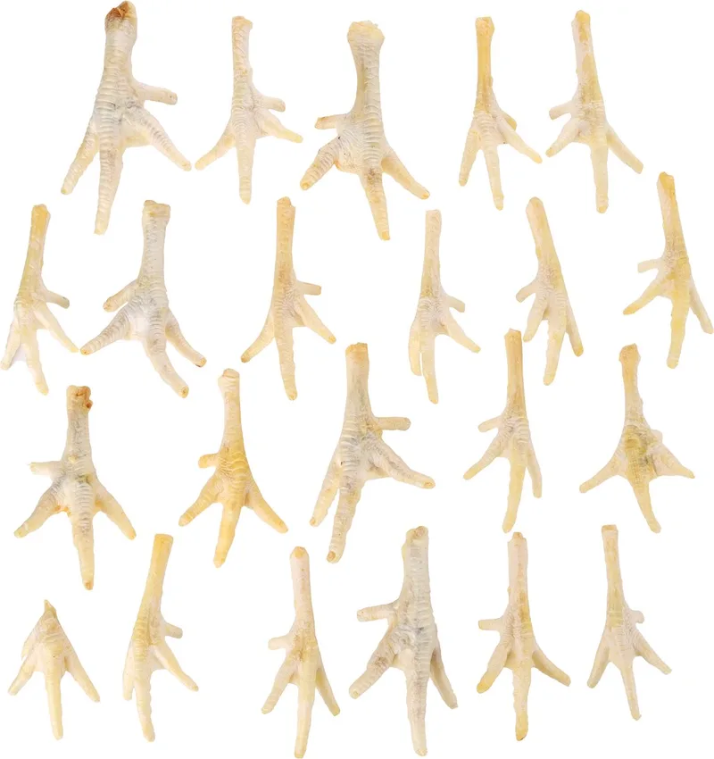 Hondensnack Nature Kippenpoten Wit 200 gr - 200 gr von Flamingo – Produktfoto