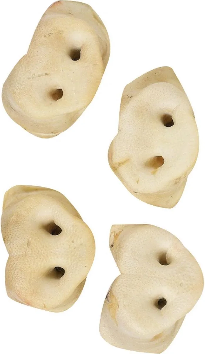 Hondensnack Nature Varkenssnuiten 4 stuks - 4 stuks by Flamingo – product photo