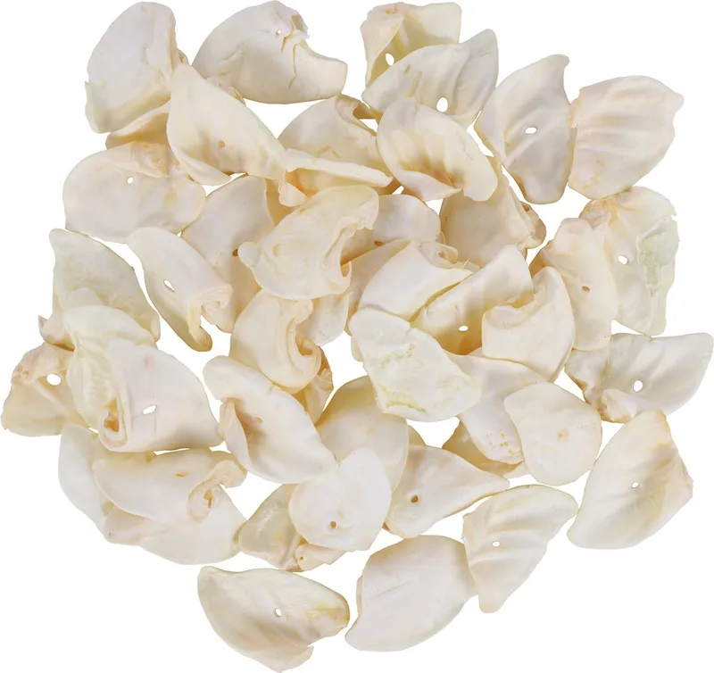 Hondensnack Varkensoren van Flamingo – productfoto