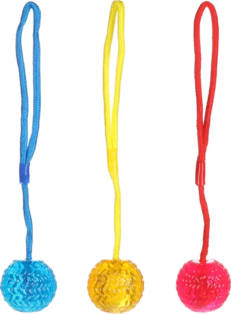 Hondenspeelgoed Bal Met Koord - 7 x 7 x 38 cm de Flamingo en Willekeurig – photo produit