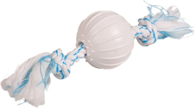 Hondenspeelgoed Dental Toy Bal - Blauw - 24 x 6.5 x 6.5 cm von Flamingo in Weiß – Produktfoto