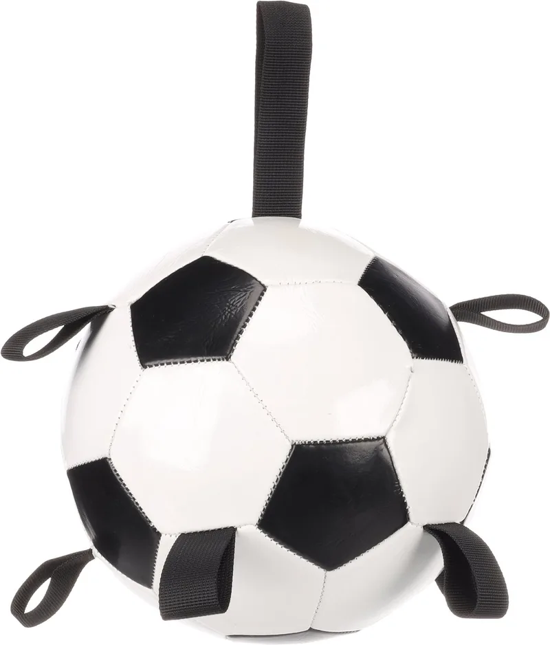 hondenspeelgoed – drijvende voetbal hond – interactief waterspeelgoed met handvatten – Towa Voetbal & Zwart – Ø 19 cm de Flamingo en Blanc – photo produit