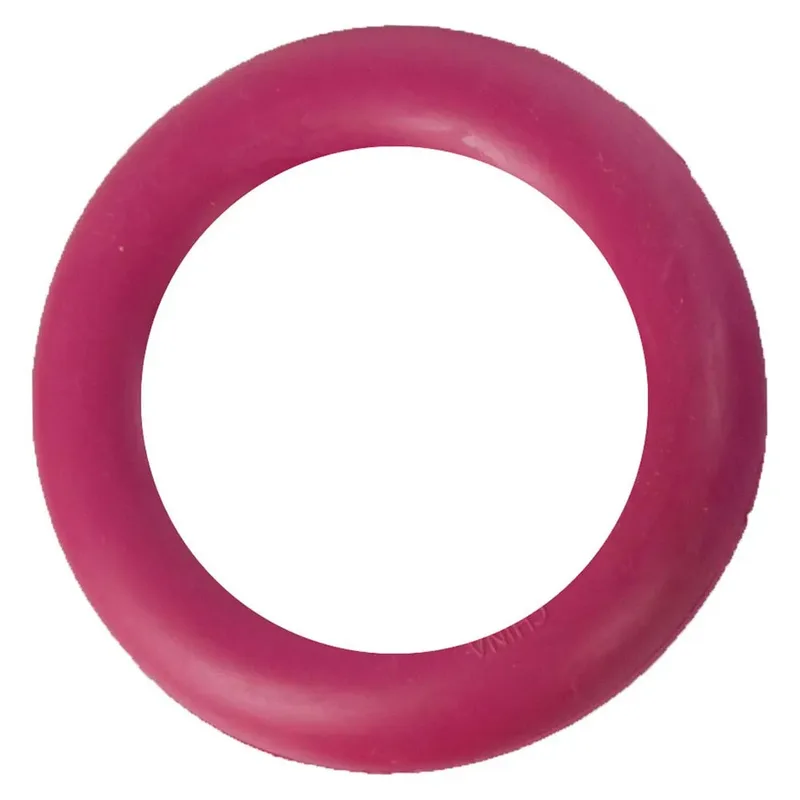 Hondenspeelgoed Rubber Ring - Roze/Blauw/Rood/Oranje/Geel/Paars - 15 cm by Flamingo in Pink – product photo 2 of 6