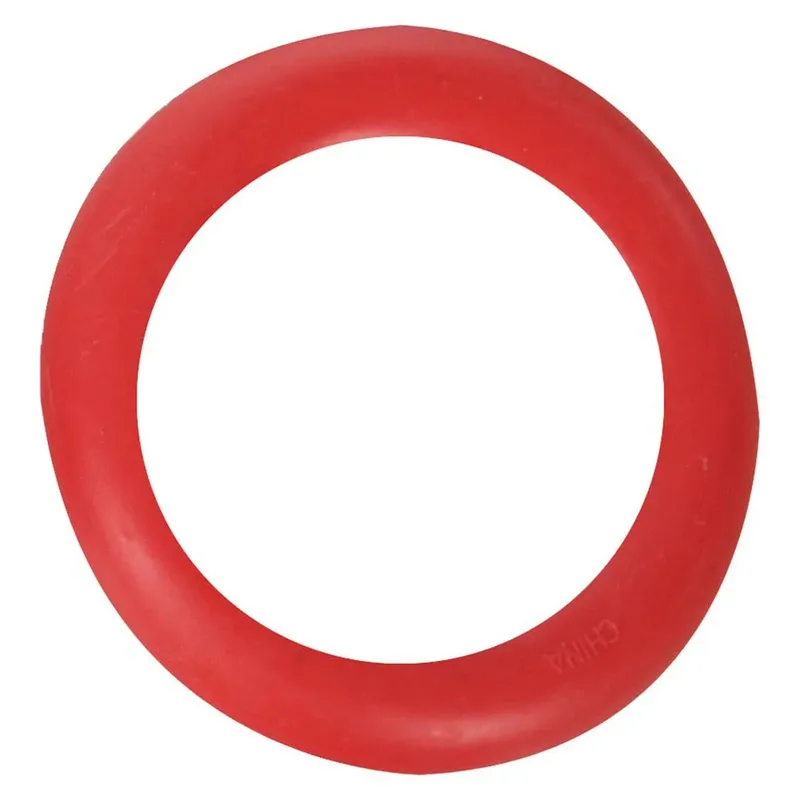 Hondenspeelgoed Rubber Ring - Roze/Blauw/Rood/Oranje/Geel/Paars - 15 cm by Flamingo in Pink – product photo 4 of 6