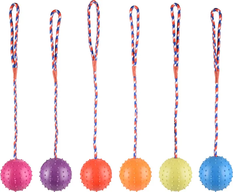 Hondenspeelgoed Rubberen bal - 65 x 7 x 7 cm by Flamingo in Multicolour – product photo