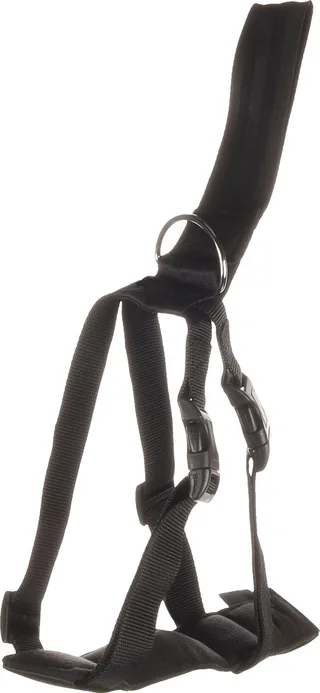 Harnais De Voiture Pour Chien 17-24kg de Flamingo en Noir – photo produit 1 sur 6