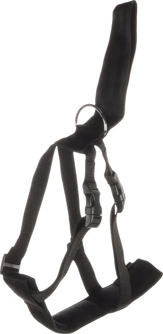 Hundegeschirr Für Das Auto 24kg von Flamingo in Schwarz – Produktfoto 1 von 6