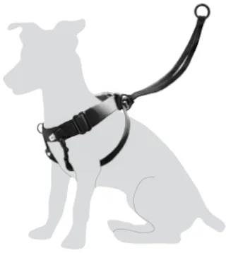 Hondentuig Easy Walker - XL van Flamingo in Zwart – productfoto 1 van 2