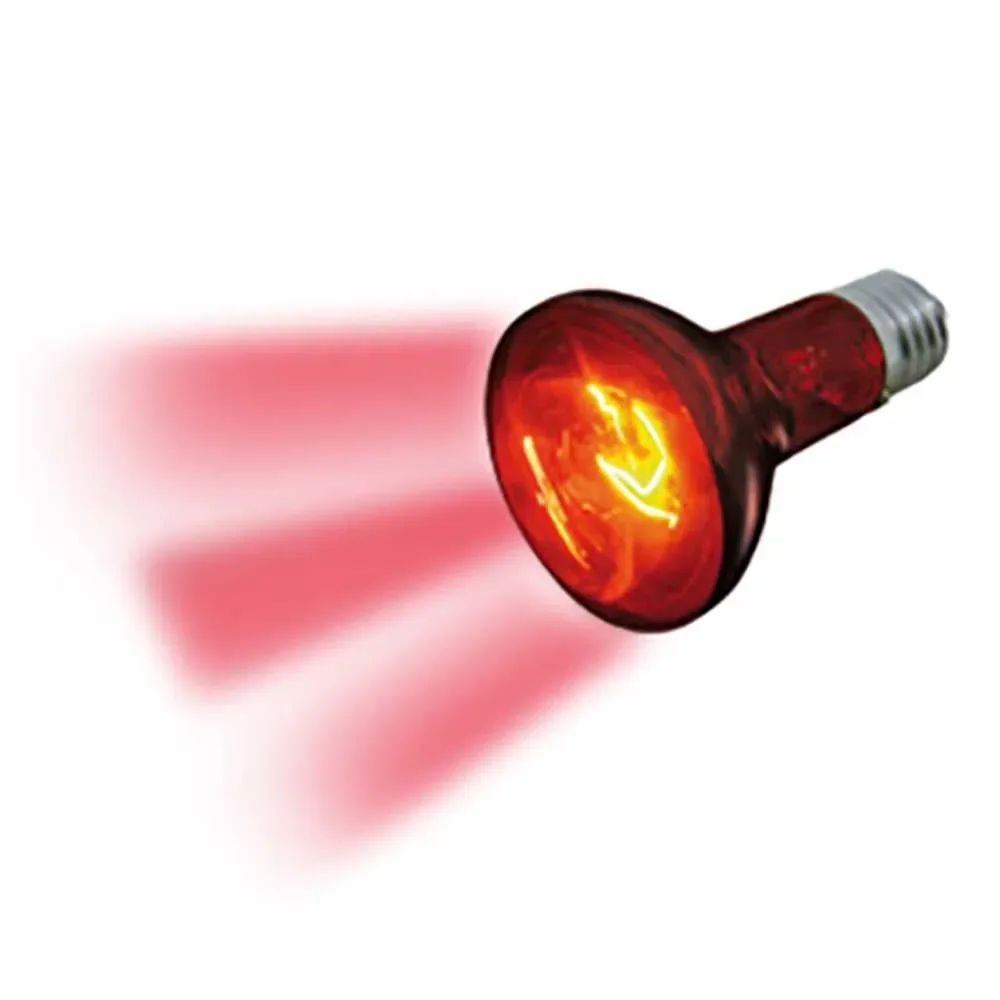 Infrarotlampe 100w von Flamingo – Produktfoto