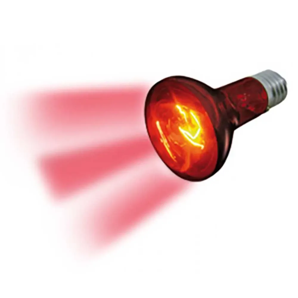 Infrarotlampe 50w von Flamingo – Produktfoto