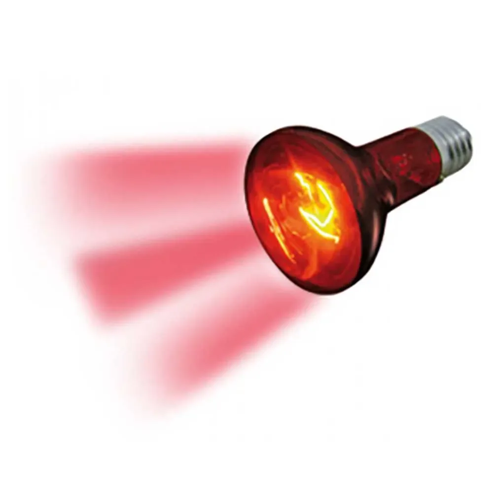 Infrarotlampe 75w von Flamingo – Produktfoto