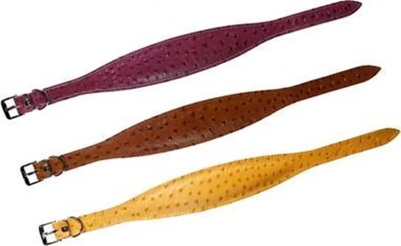 Karlie halsband ventus 40 cm lang en 55mm breed by Flamingo in Brown – product photo