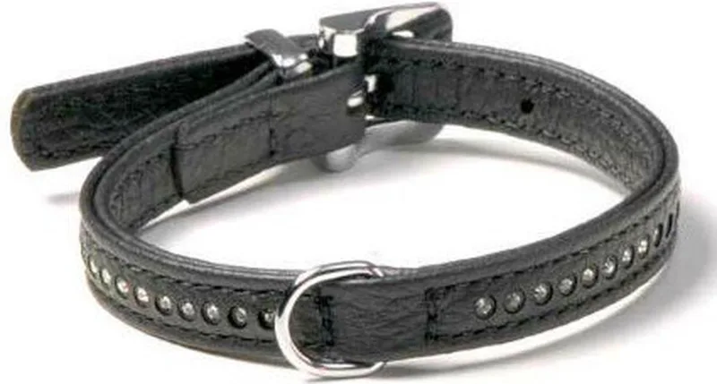 Karlie Plus Halsband Monte Carlo - 11 mm x 21 cm fra Flamingo i Sort – produktbillede