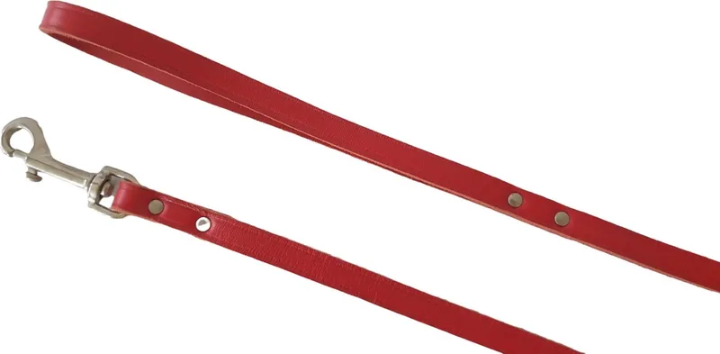 KARLIE Rondo Hondenriem / Hondenlijn - Echt Leder - Geklonken - Breedte: 12 mm - Lengte: 100 cm by Flamingo in Red – product photo