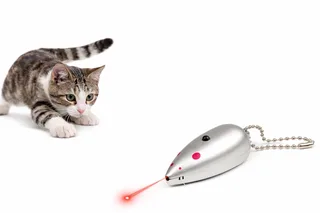 Kattenspeeltjes – laserpen kat – interactief – Flamingo Aludra Muis – 11x3x3cm – zichtbaar tot 3m – incl. 3x LR44 – binnen von Flamingo in Grau – Produktfoto 1 von 2