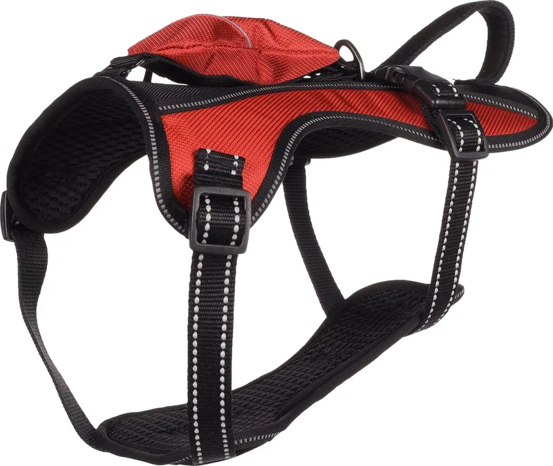 Kelso - Harnas Honden - Harnas Kelso M 34-50cm 20mm - 1st - 131689 - 1st von Flamingo in Rot – Produktfoto