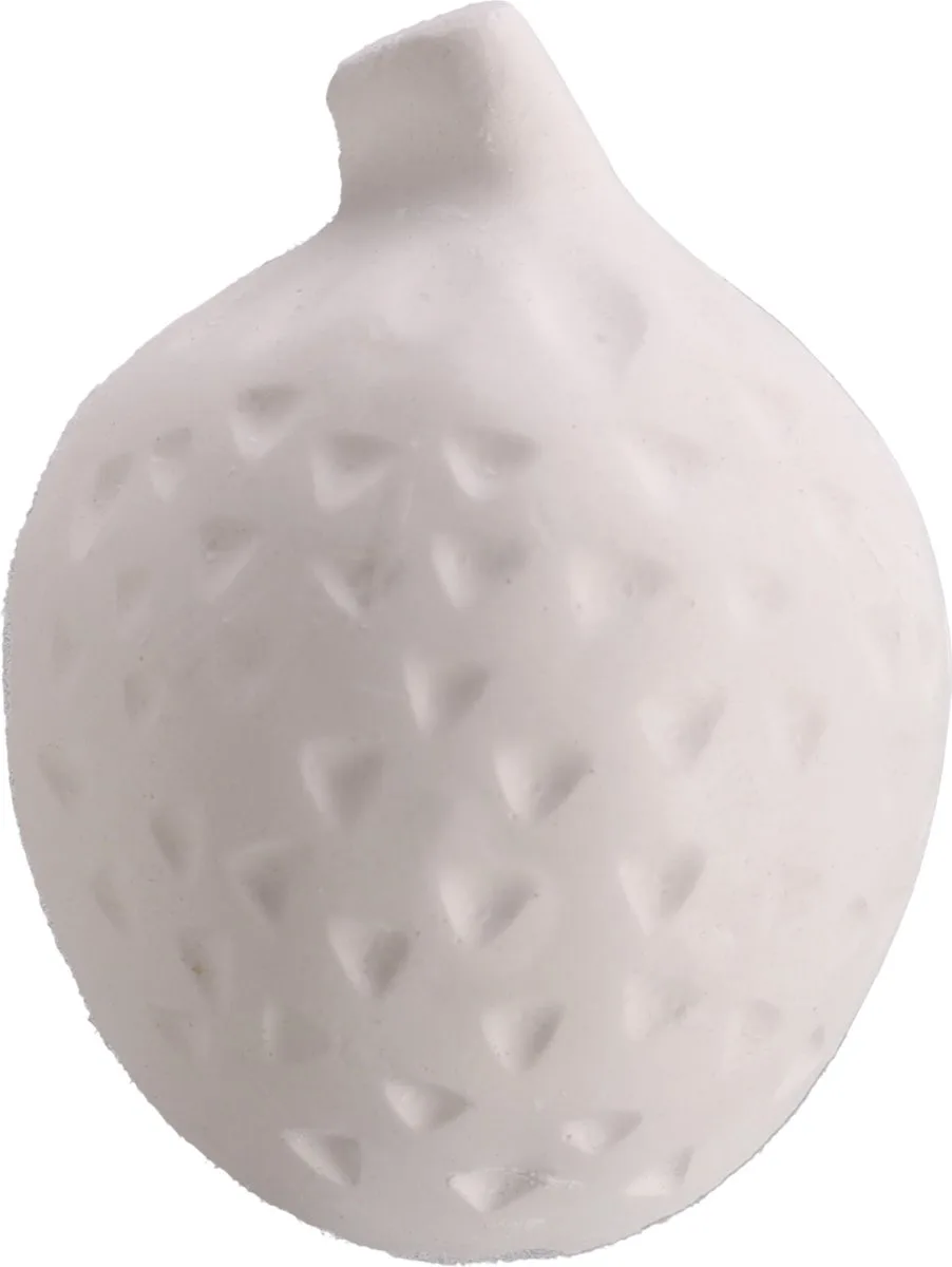 Knaagsteen Aardbei 25g - 1st - 126554 - 1st van Flamingo – productfoto