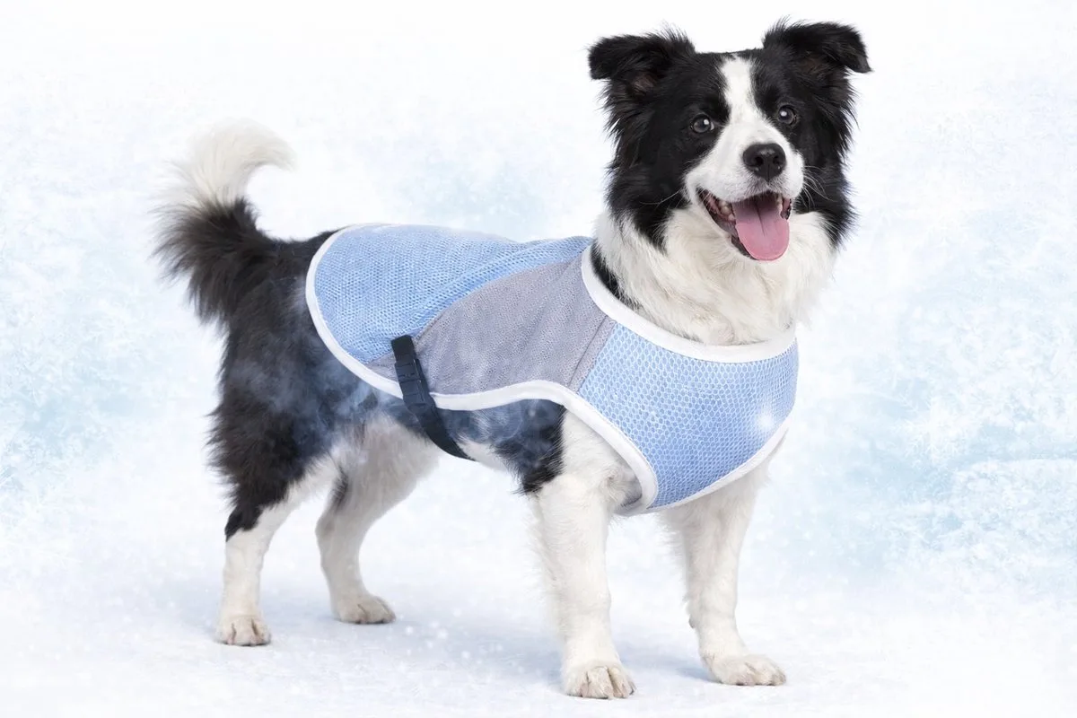 Frozen Hundejacke von Flamingo in Blau – Produktfoto