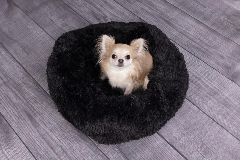 Krems - Mand Honden;katten - Mand Krems Rond 50cm - 1st - 123582 - 1st by Flamingo in Black – product photo