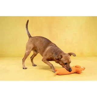 LATEX HOND ORANJE7x28,2x10,7CM - speelgoed hond von Flamingo in Orange – Produktfoto 2 von 5