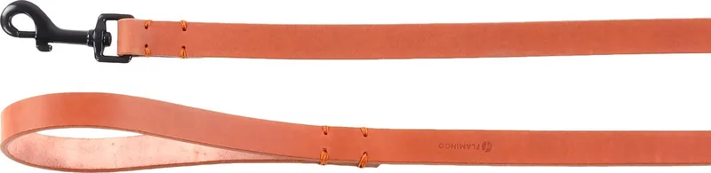 Leano Gewoon - Looplijn Honden - Looplijn Leano Cognac 130cm 20mm - 1st - 132611 - 1st by Flamingo in Brown – product photo