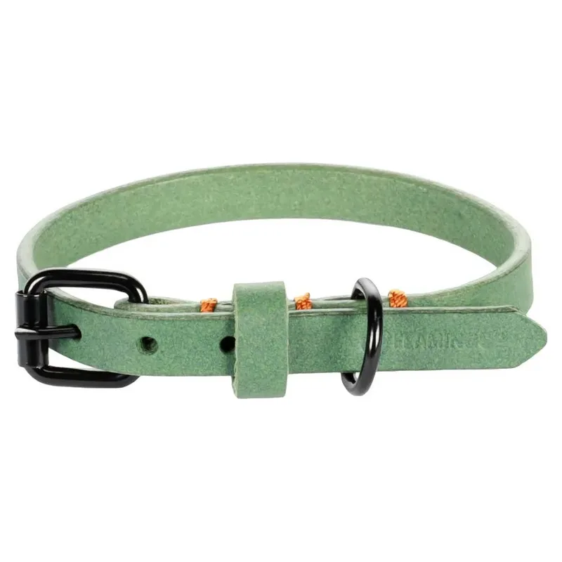 Leano Hondenhalsband by Flamingo – product photo