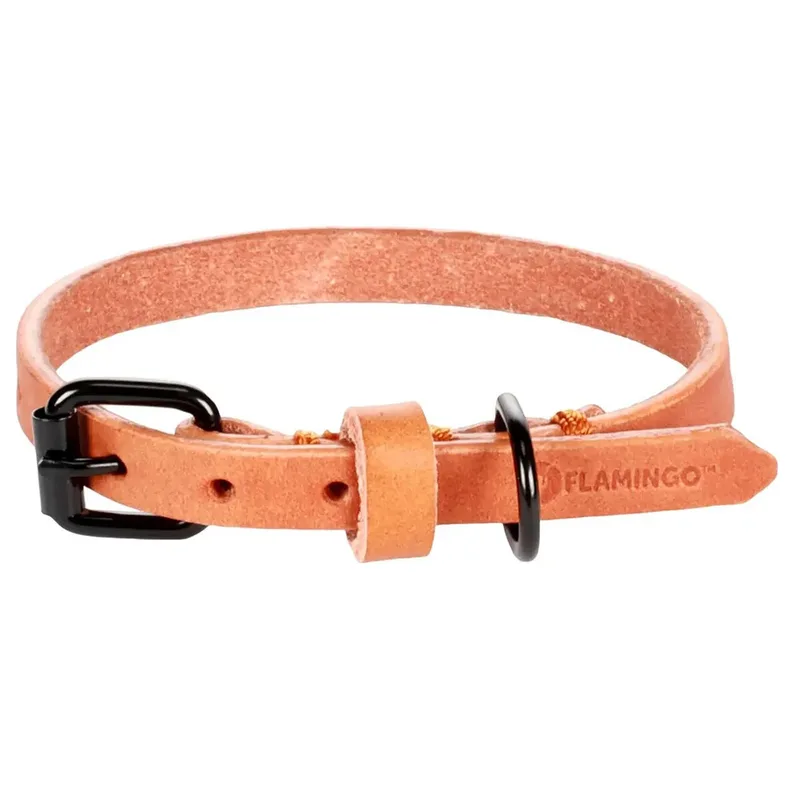 Leano Hondenhalsband by Flamingo – product photo