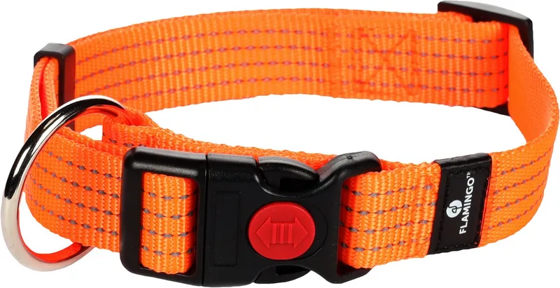 Len - Halsband Honden - Halsband Len L 45-65cm 25mm - 1st - 125002 - 1st von Flamingo in Orange – Produktfoto